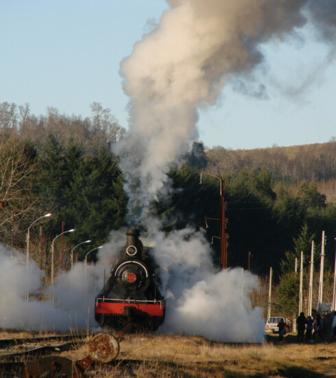 tren-el-valdiviano