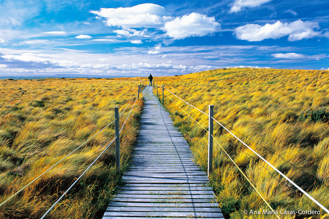 Fotografía de paisaje con endero de madera por el medio de la planicie de la Patagonia