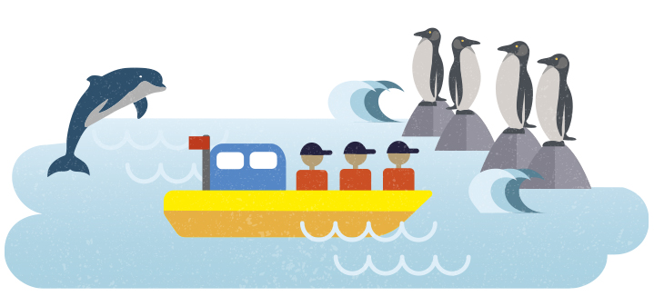 pinguinos de Humbolt