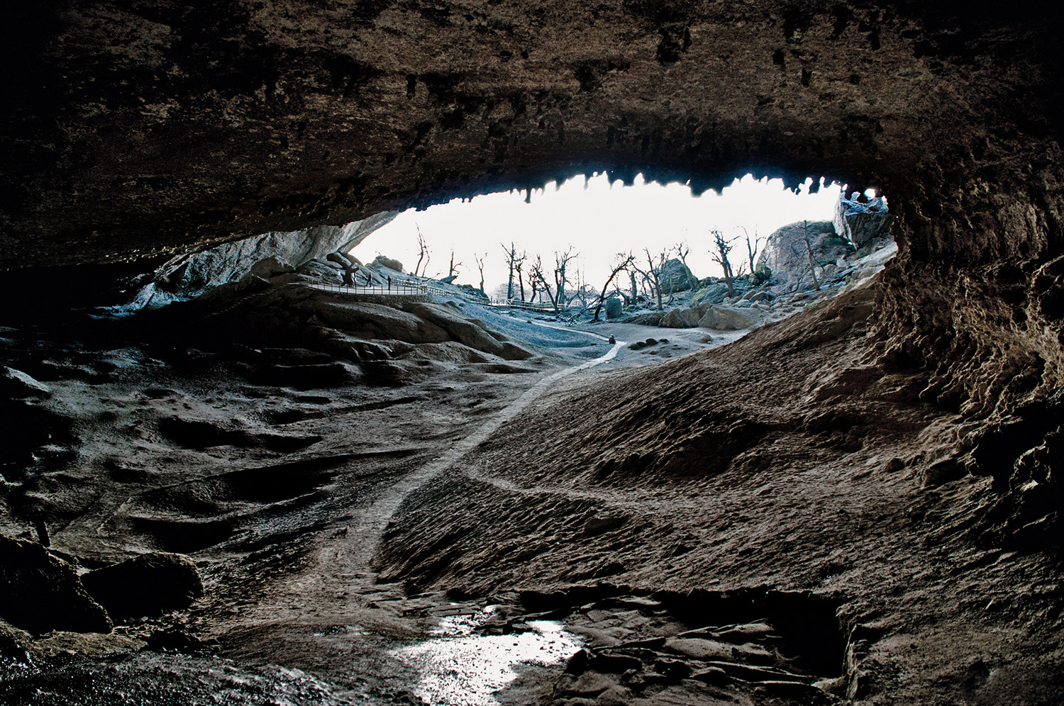 Dinosaurios en Chile - Cueva del Milodón