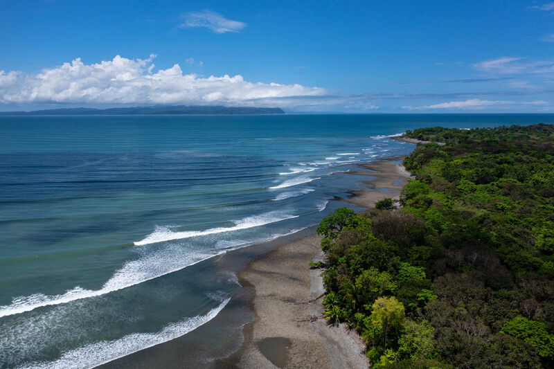 La rica fauna de San Juan en cielo, tierra y agua